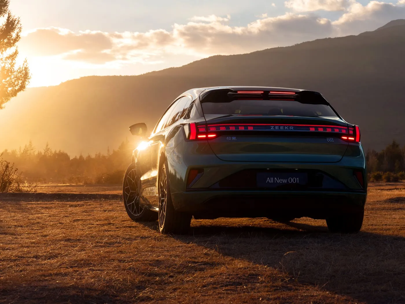 Zeekr 001 Hatchback eléctrico de 5 asientos 4WD de alta calidad 705 km Vehículo de nueva energía de largo alcance